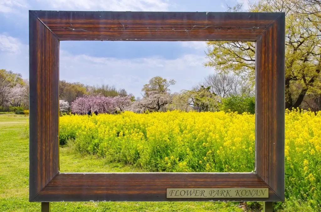 国営木曽三川公園 フラワーパーク江南