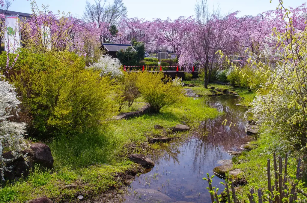 ぎふ清流里山公園