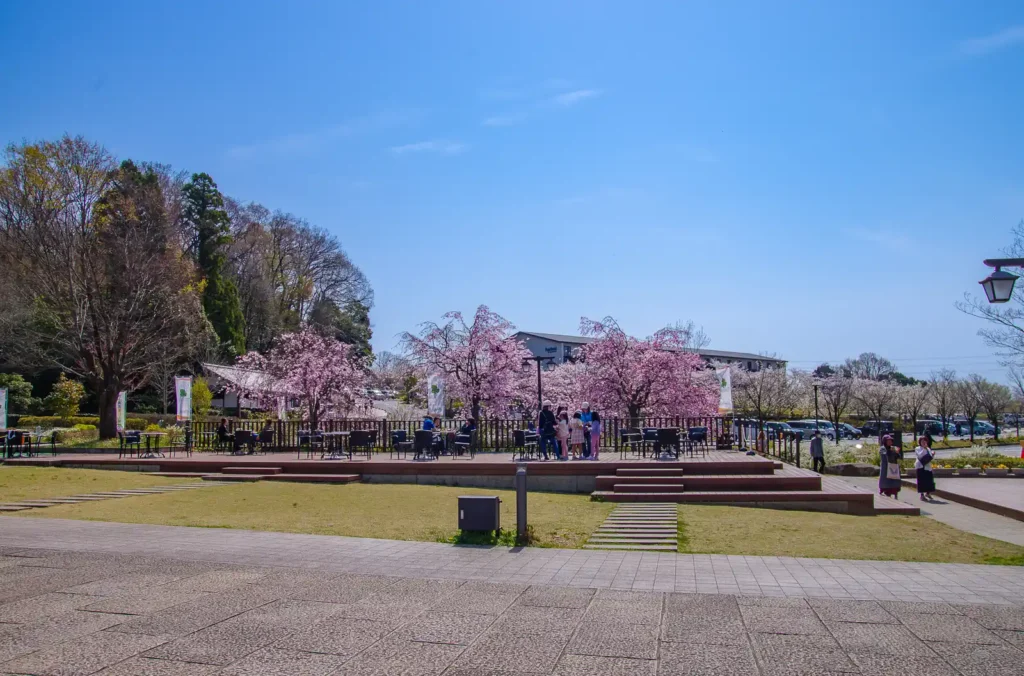 ぎふ清流里山公園