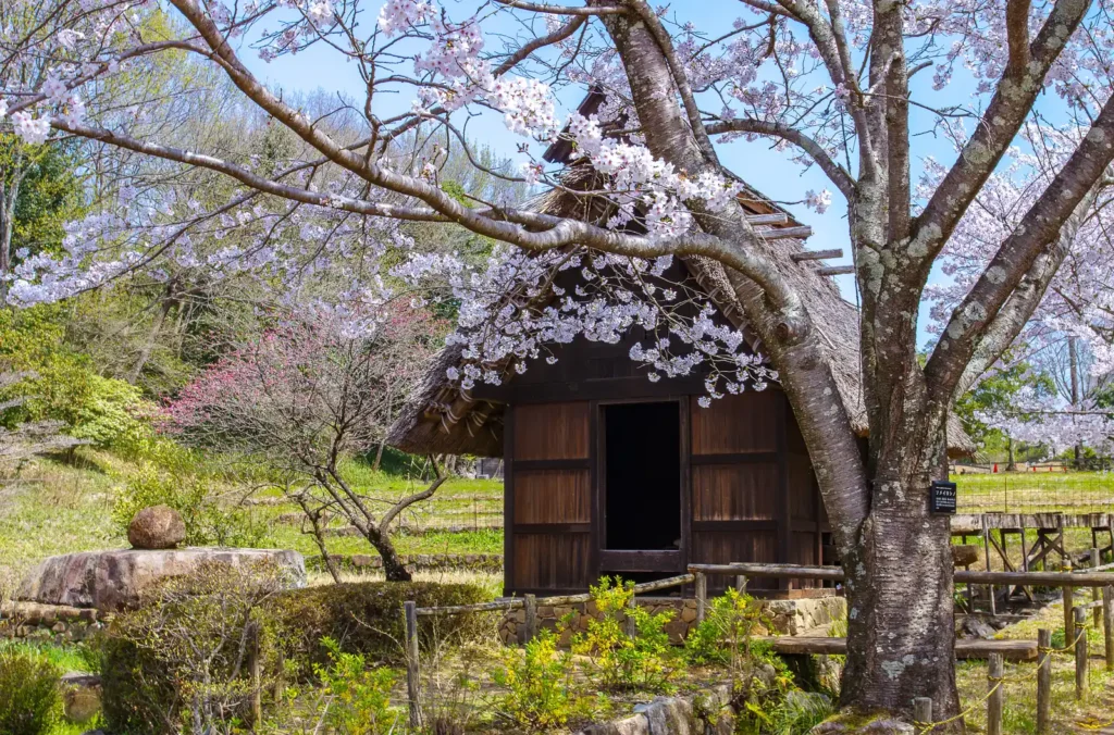 ぎふ清流里山公園
