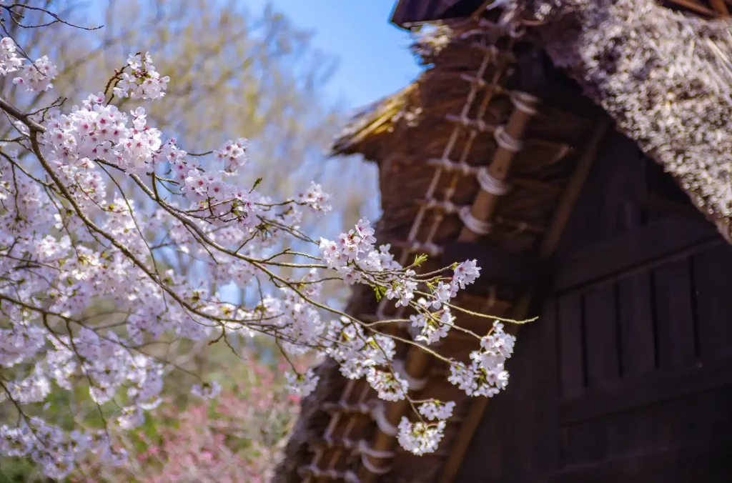 ぎふ清流里山公園