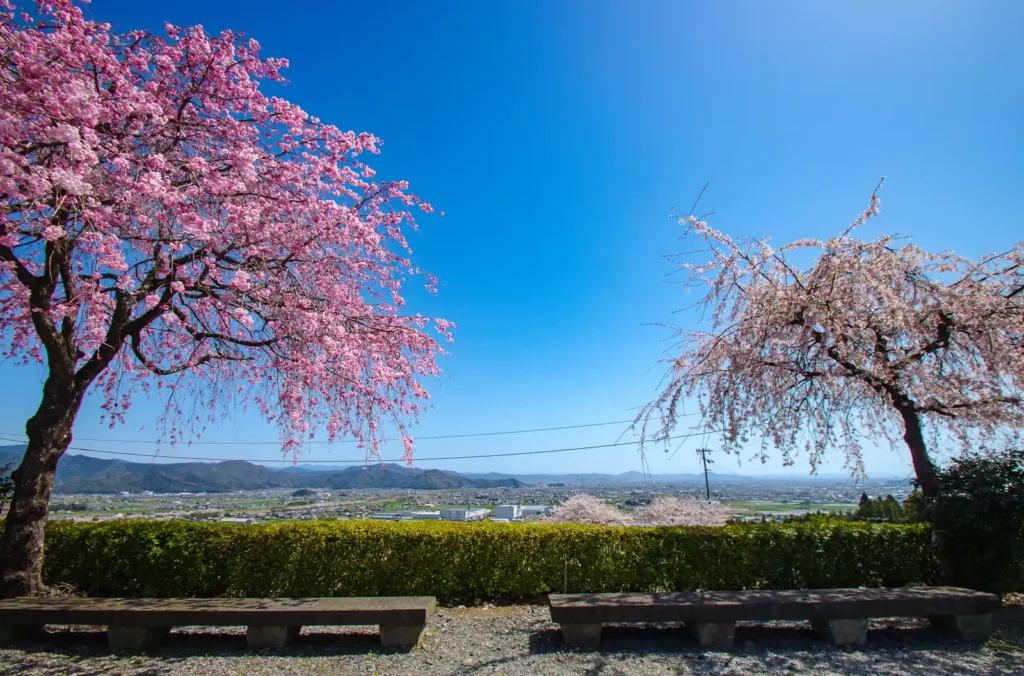 阿梨耶山　弓削禅寺