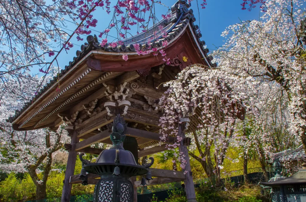 阿梨耶山　弓削禅寺