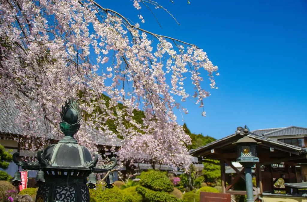 阿梨耶山　弓削禅寺