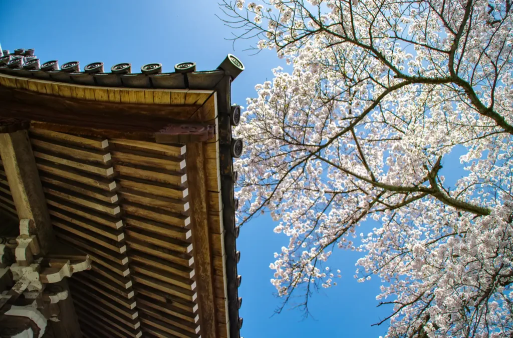 阿梨耶山　弓削禅寺