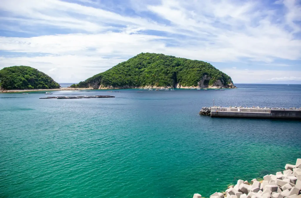 戸津井