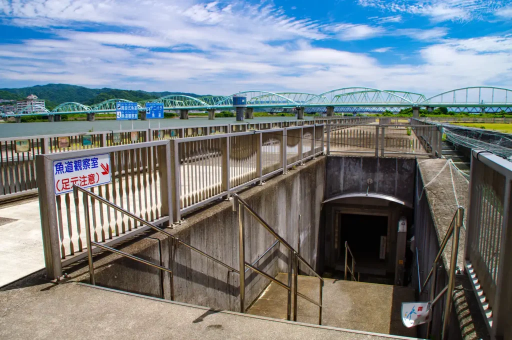 紀の川大堰 魚道観察室